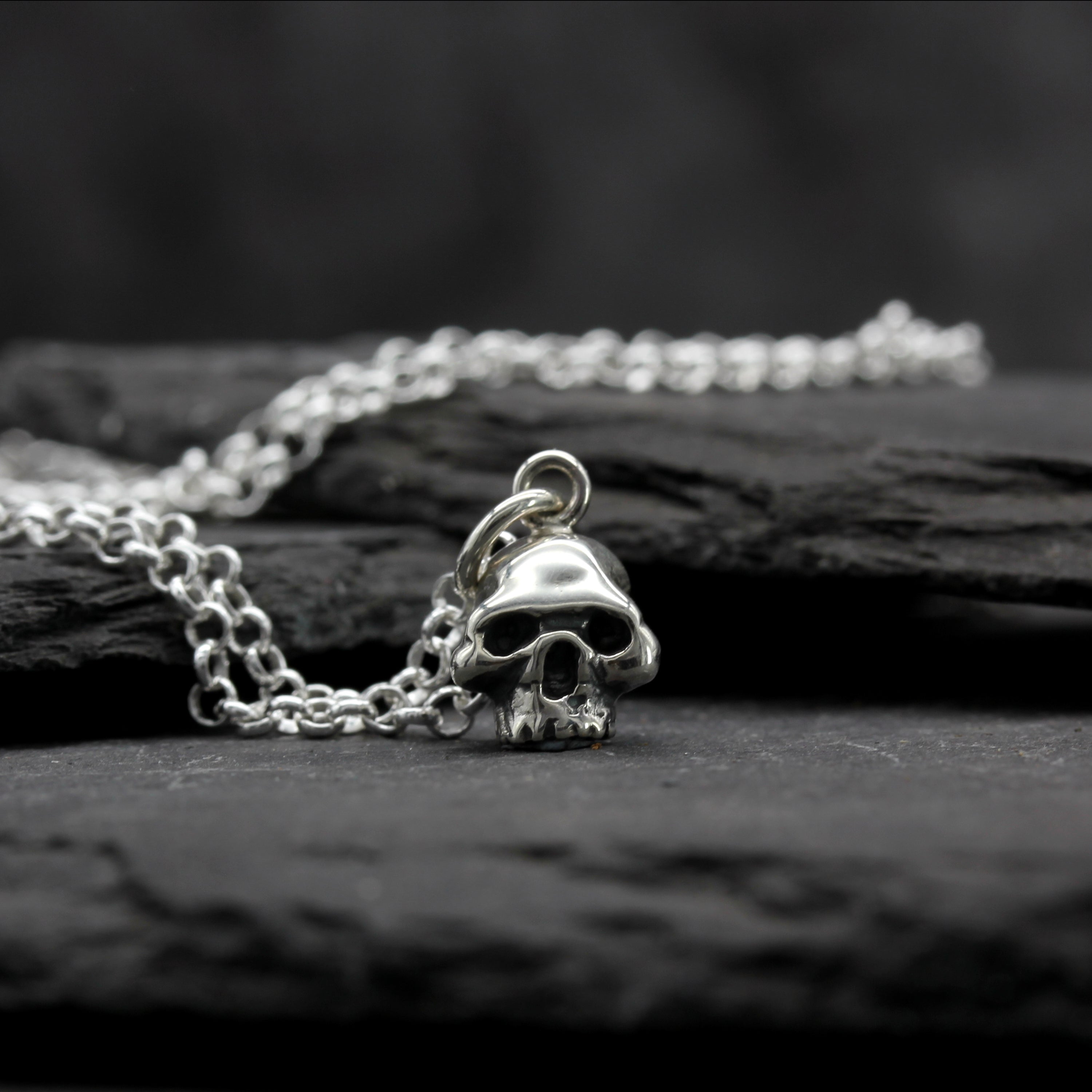 Tiny Skull Necklace. Silver Skull Pendant, on a silver chain